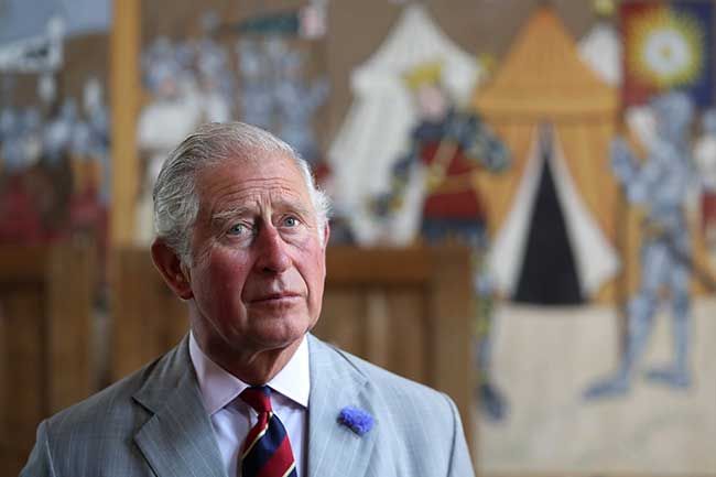 prince charles patronages