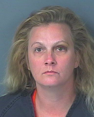 Bobbie Jean Carter is seen in a booking photo following her arrest for theft and possession of a controlled substance 