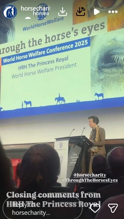 Princess Anne looked so chic at the conference
