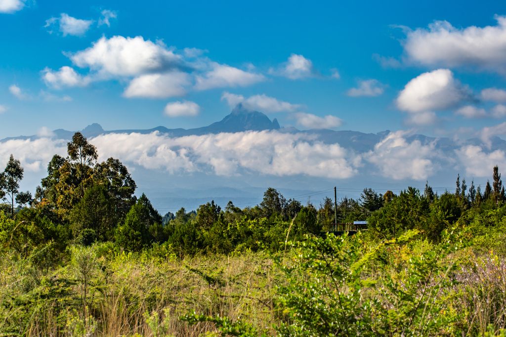 Fotografía en color de un gran paisaje salvaje de Kenia con el Monte Kenia al fondo, tomada en Kenia.