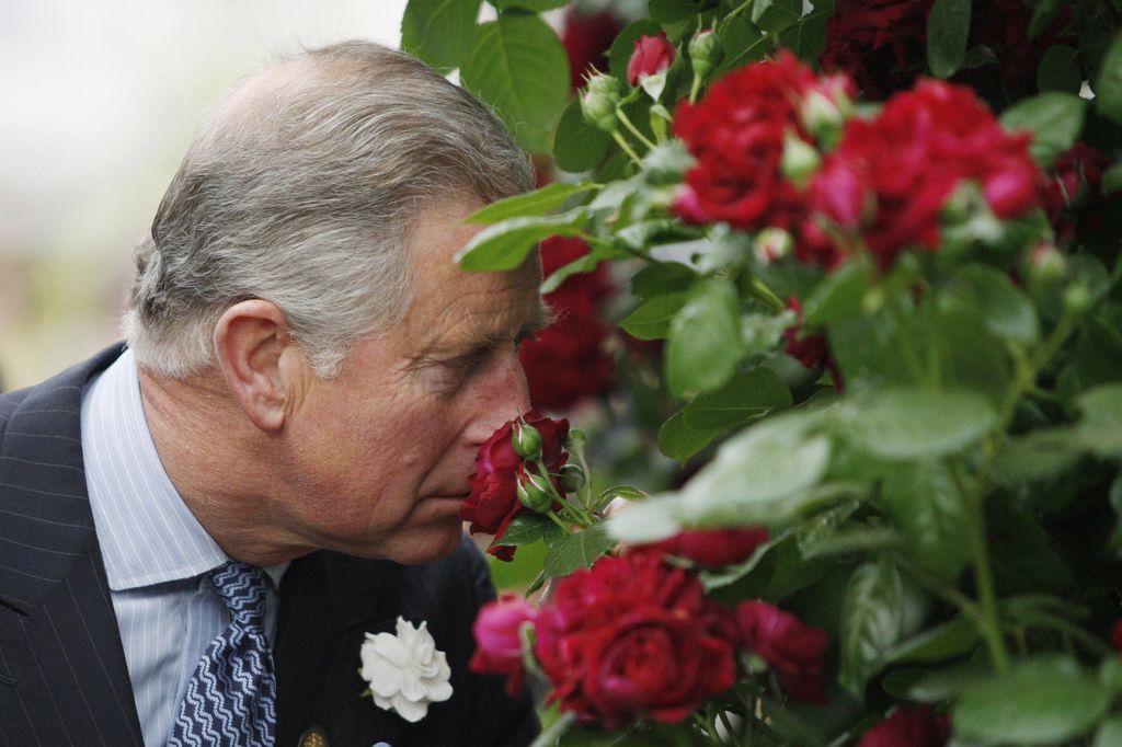 Prince Charles smelling roses