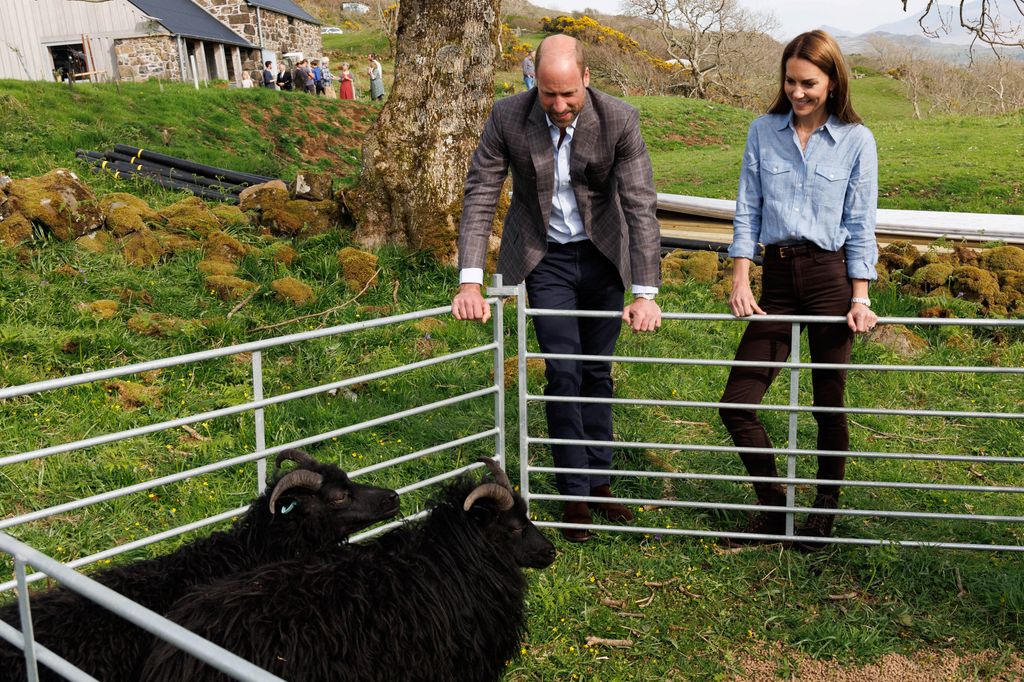 William and KATE look at Hebridean sheeps during a visit to a local croft