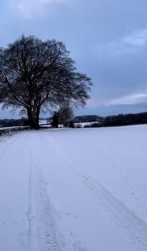 Mike previously filmed the rolling hills covered in snow