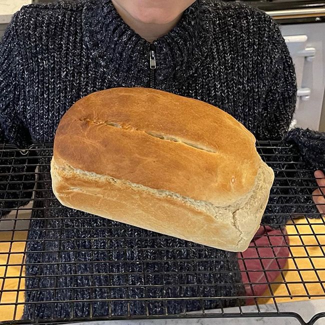 dan walker kitchen bread