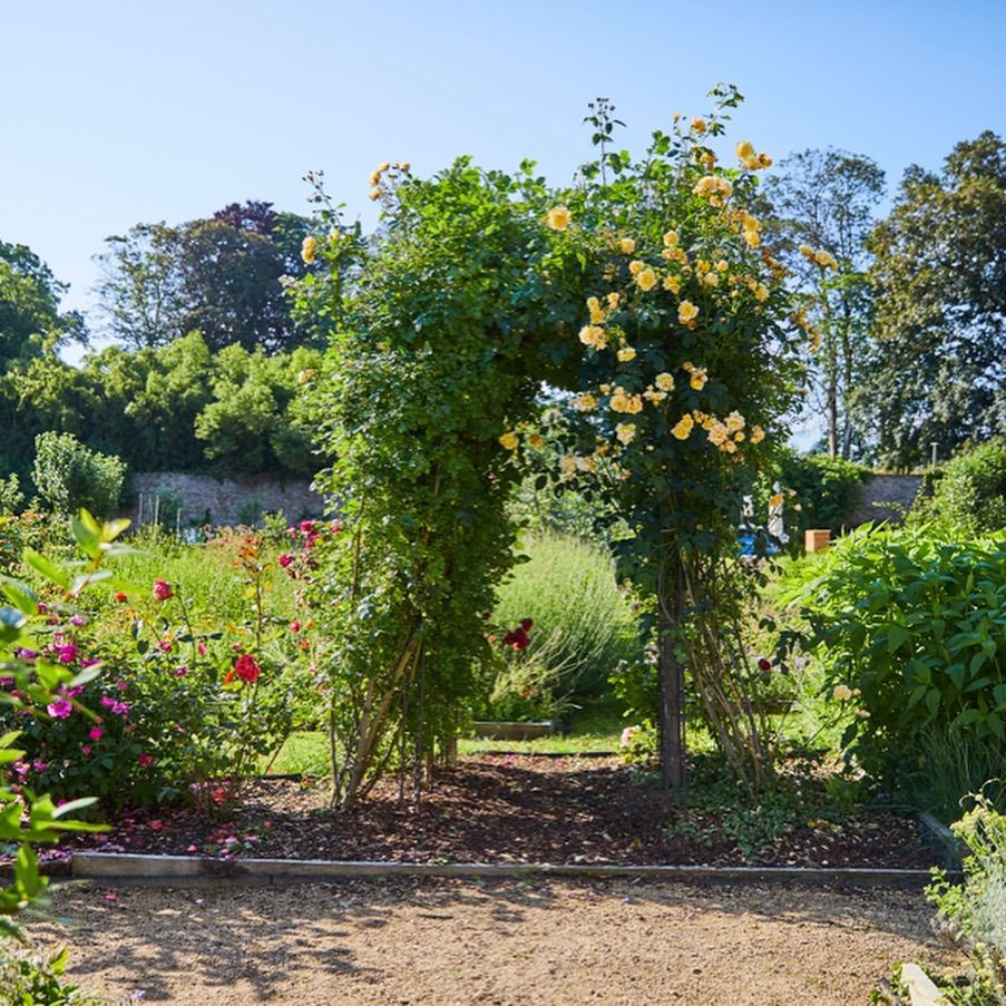 Flower archway in the Strawbridge's garden with yellow and pink flowers