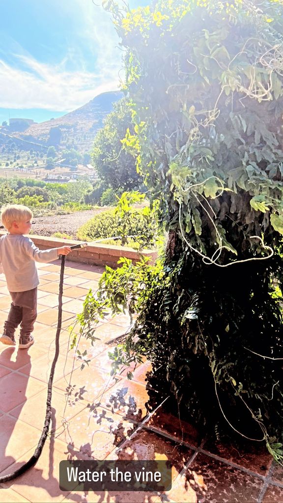 Ant Anstead's son Hudson watering the plants