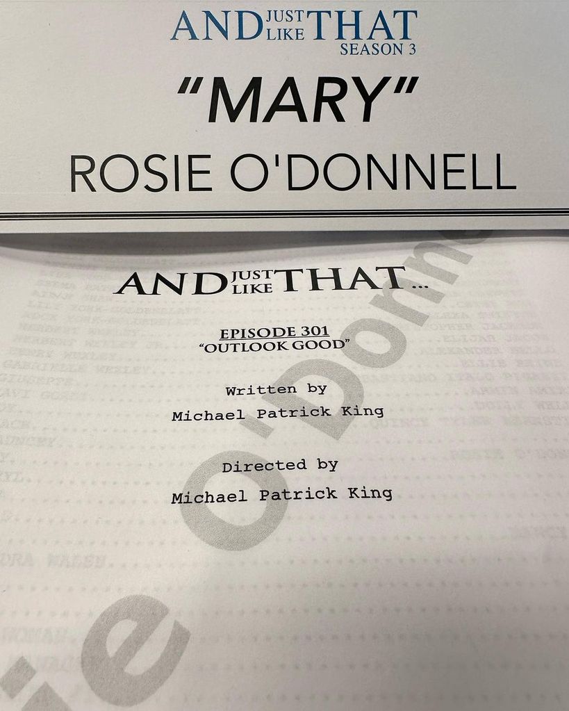 Rosie O'Donnell's And Just Like That script for season three