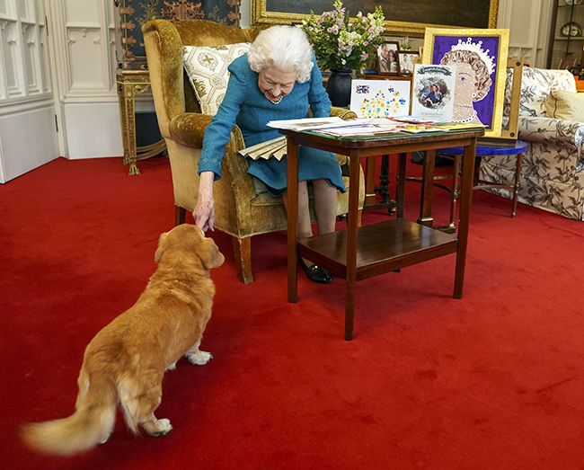 the queen with corgi at memorabilia viewing