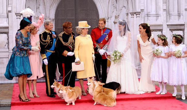 today show royal wedding