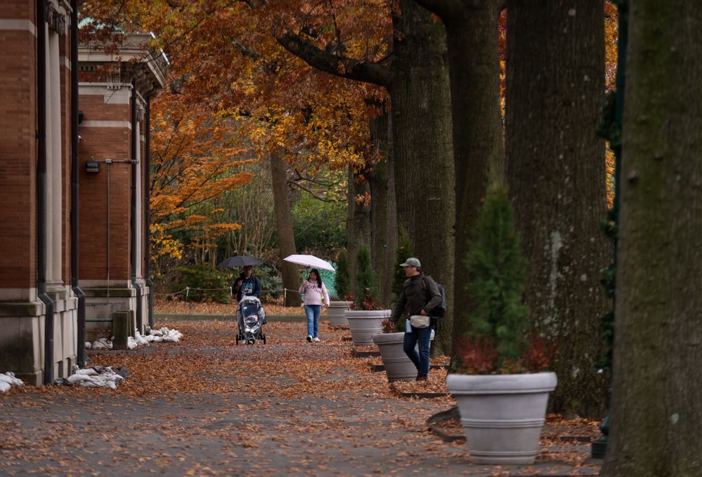 The Bronx Zoo transforms into a vibrant display of autumn colors as fall foliage surrounds its animal habitats in New York, United States on November 9, 2025. Visitors enjoy the mix of wildlife and seasonal scenery, with golden leaves creating picturesque views across one of New York City's most famous attractions.