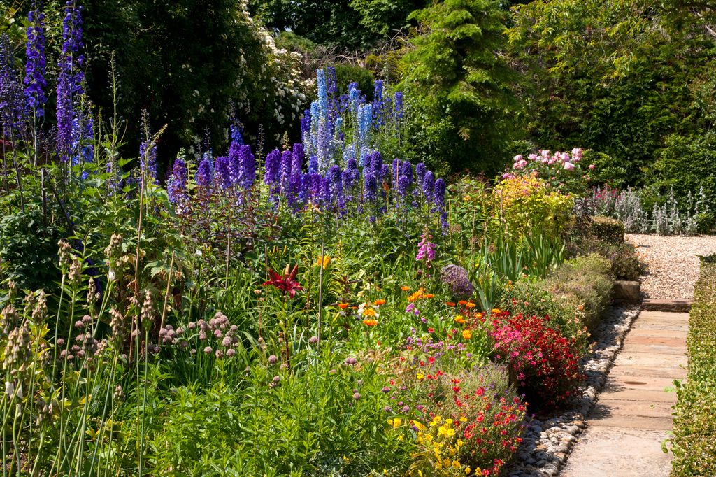 Classic summer English cottage garden with herbaceous border