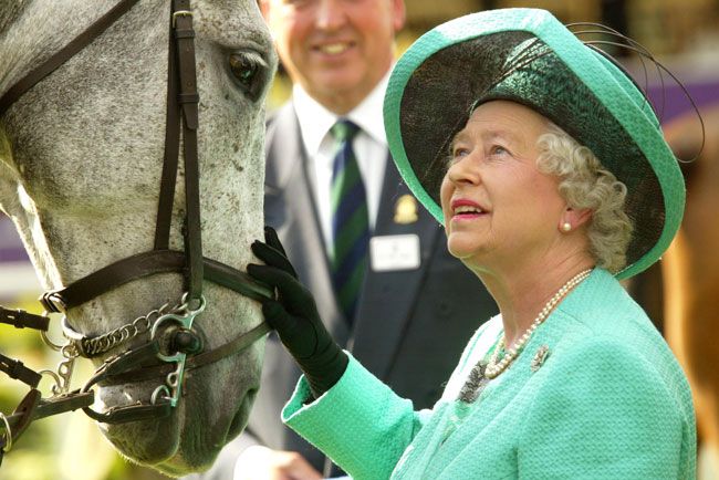 queen with horse