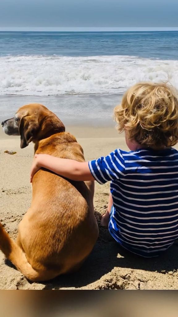 cat deeley son hugging pet dog lilly 
