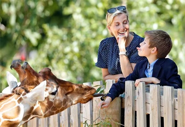 The Earl and Countess of Wessex enjoyed a family day out at Bristol Zoo