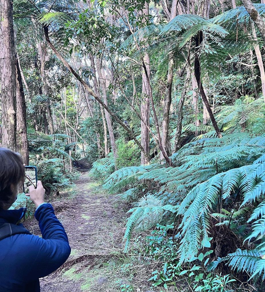 Martin Henderson taking a photograph in New Zealand 