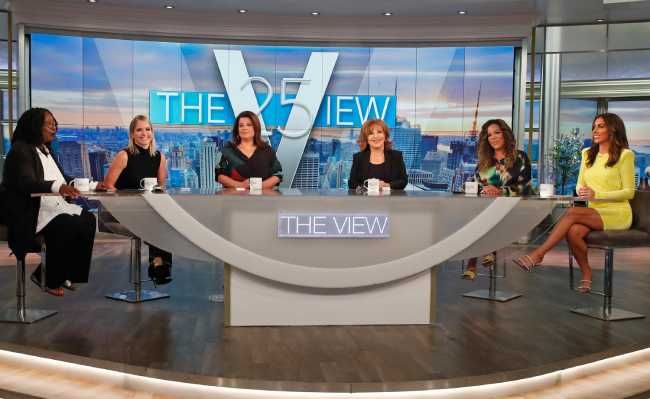 the view panel