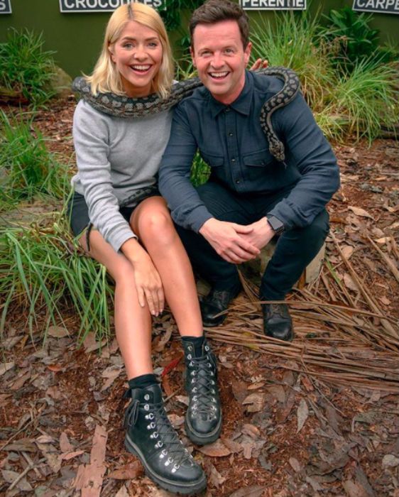 holly willoughby declan donnelly im a celeb