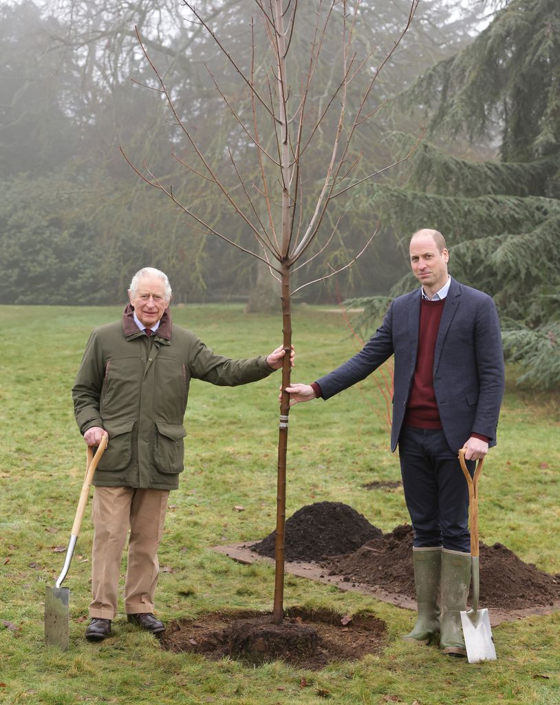 King Charles and Prince William with a freshly-planted tree