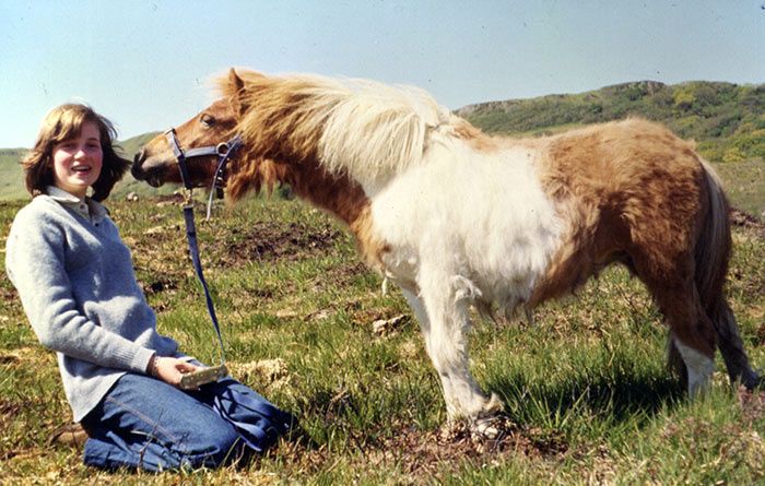 princess diana horse