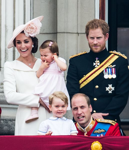 prince harry with the cambridges