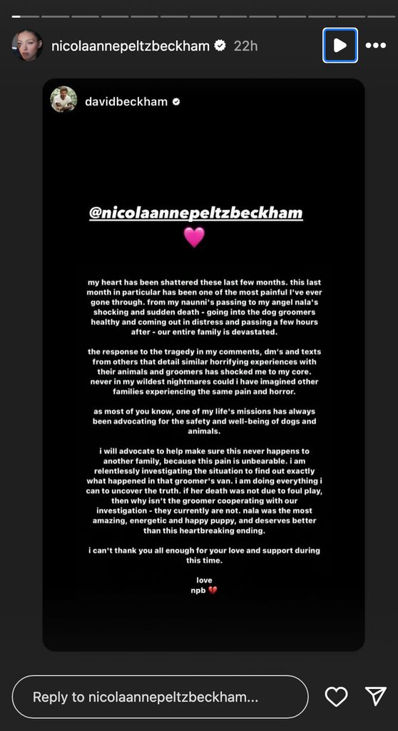 Nicola Peltz's statement about her dog Nala, shared on Instagram Stories. 
