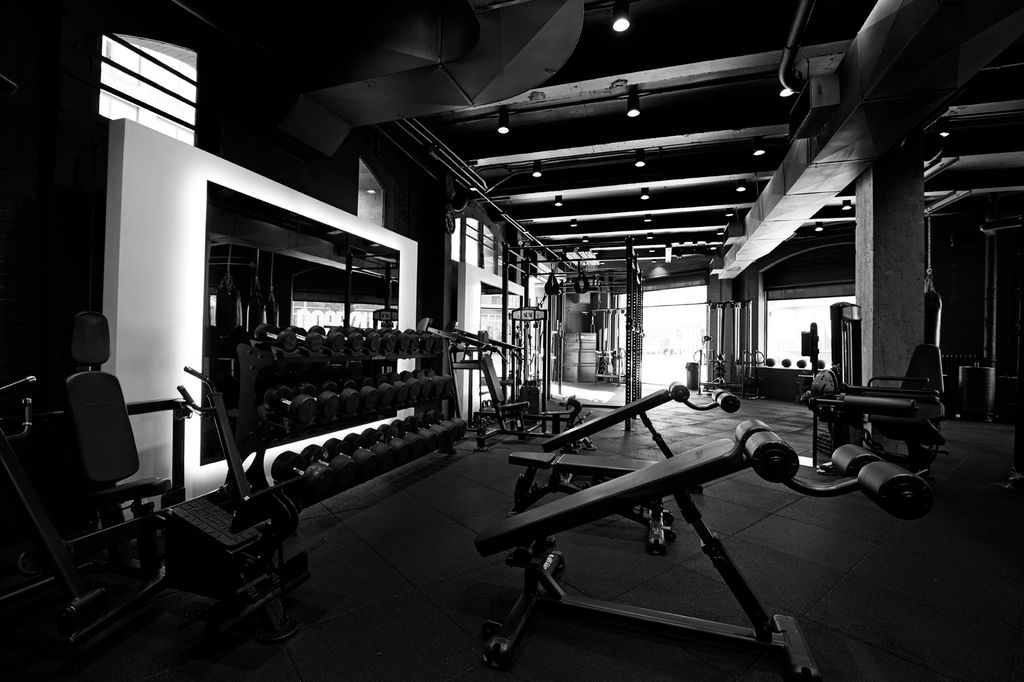 Inside a Dogpound gym