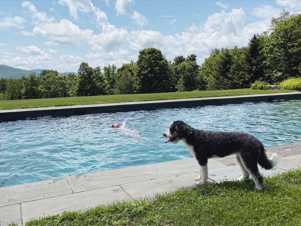  al fresco pool with dog beside it