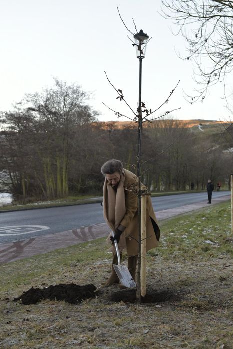 Princes Anne digging a hole to plant a tree