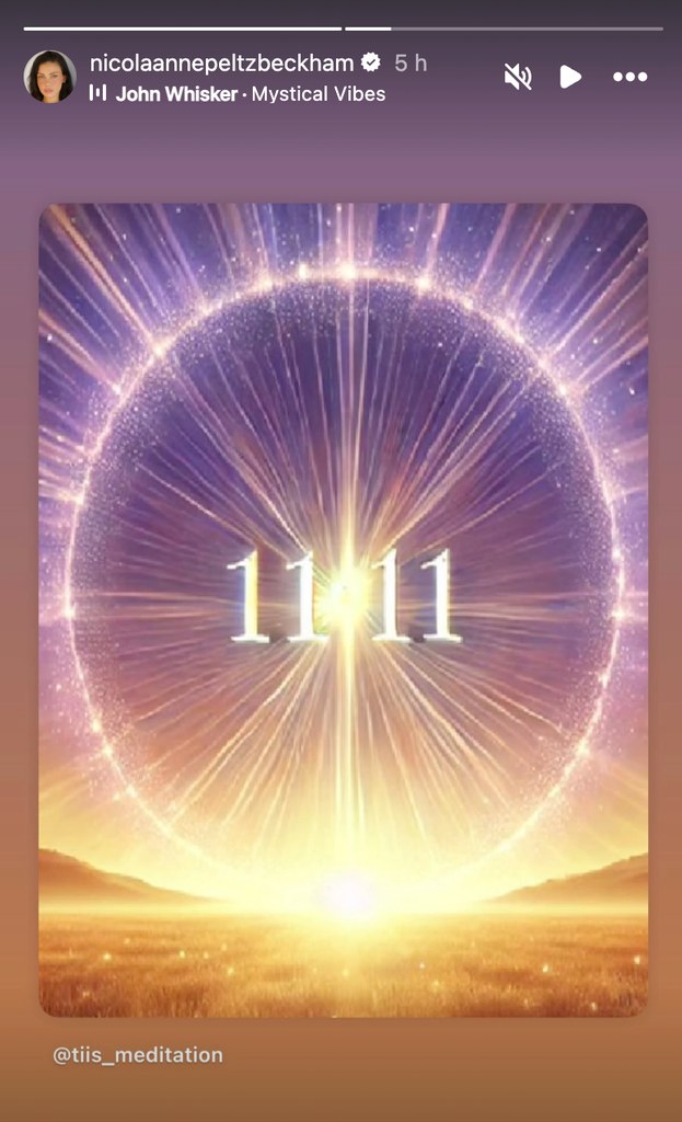 Nicola Peltz hints at period of 'transformation' as she shares cryptic numerology post to her Instagram Stories