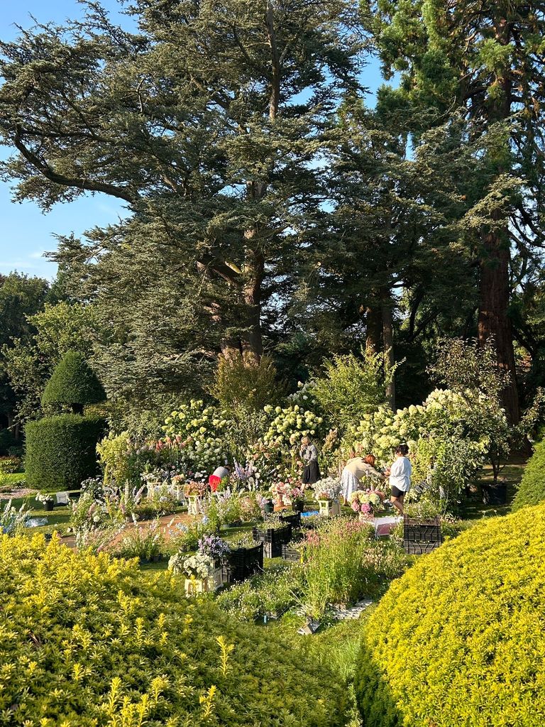 garden with pots of flowers