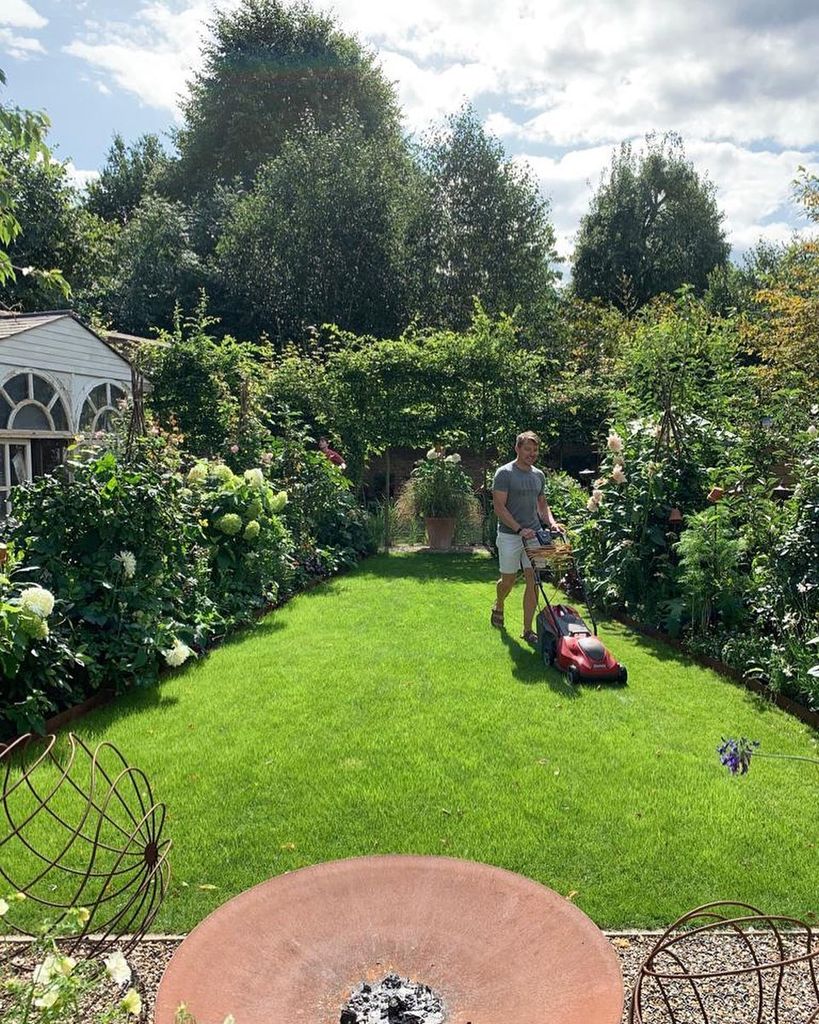 lawn in garden 