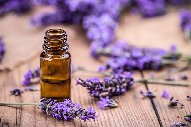 Lavender is soothing on the skin