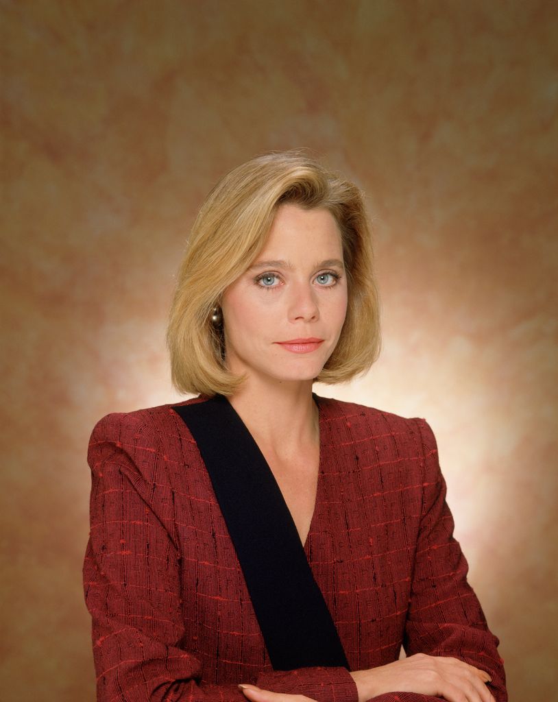 susan dey la law
