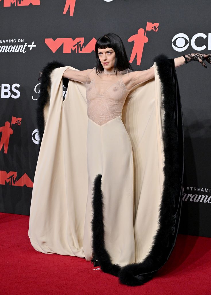 María Zardoya in Valentino sheer gown with fur trim