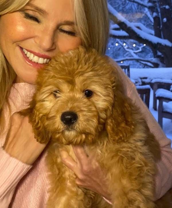 christie brinkley with new puppy