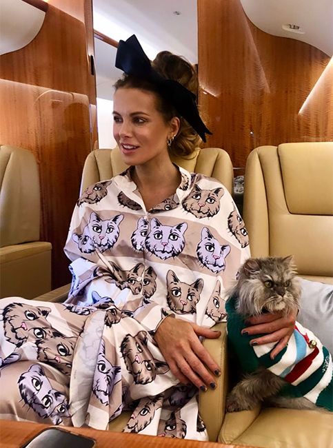 kate beckinsale and cat on private jet