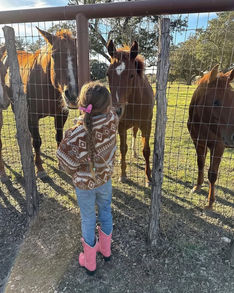 Gigi Hadid's daughter Khai feeding horses