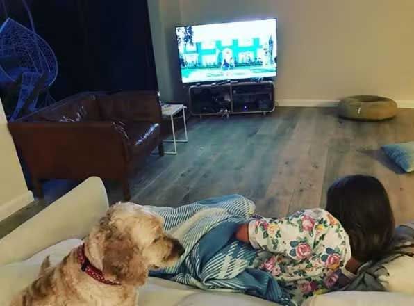 22 a puppy and a child watch tv in a big room