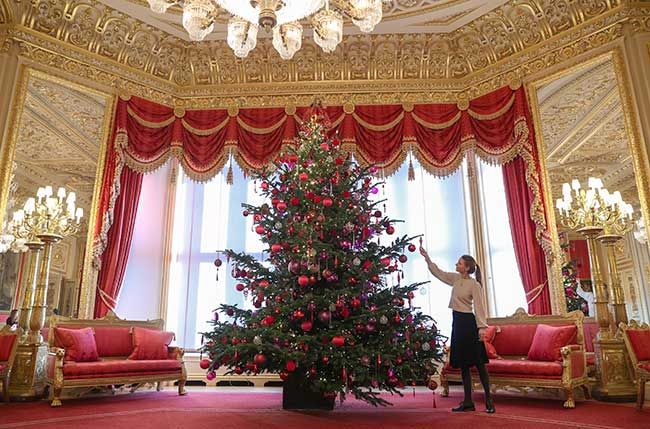 Royal Christmas tree 