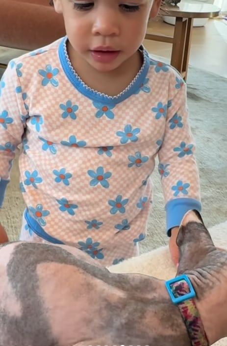 Chrissy's daughter Esti looking at a hairless cat