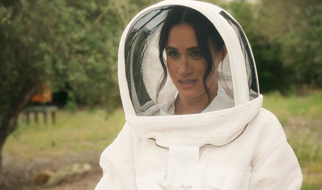 Meghan Markle's beehives
