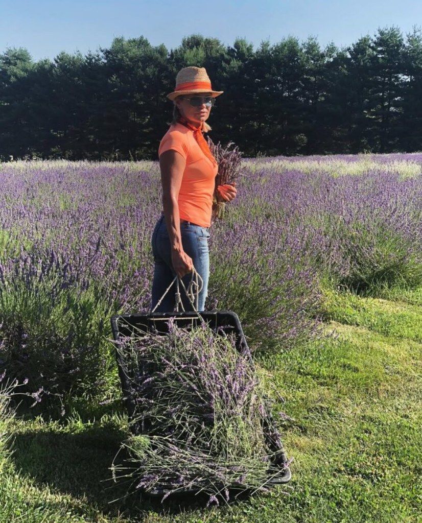Yolanda Hadid in an orange top harvesting lavender in a field 