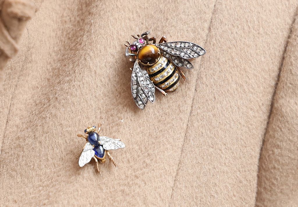 The royal's diamond-encursted insect brooches are extremely rare
