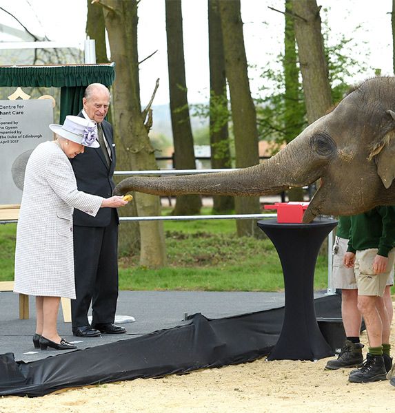 the queen feeding an elephant a banana