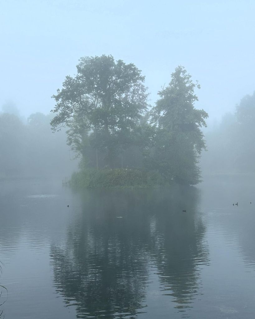 misty lake with island in centre