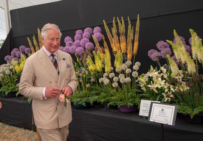 prince charles flower show
