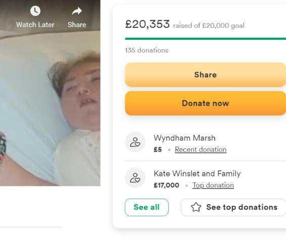 kate winslet donation