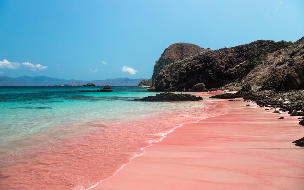 The image showcases the unique blend of pink-hued sand and crystal-clear turquoise waters that make this beach an extraordinary destination.