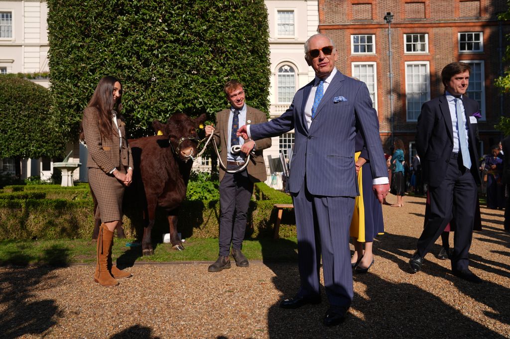 King Charles met Poppy, a pedigree Sussex beef cow
