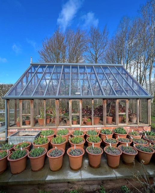 Monty Don's greenhouse